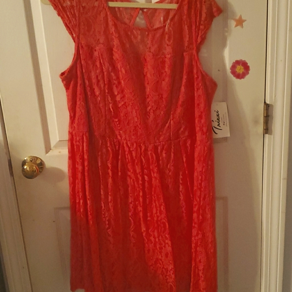 Salmon Lace Swing Dress